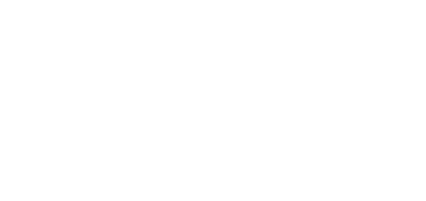 Starling Logo Reverse